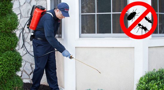 Bingöl Böcek İlaçlama böcek ilaçlama ve haşere kontrolü — ilaclama-tr.com